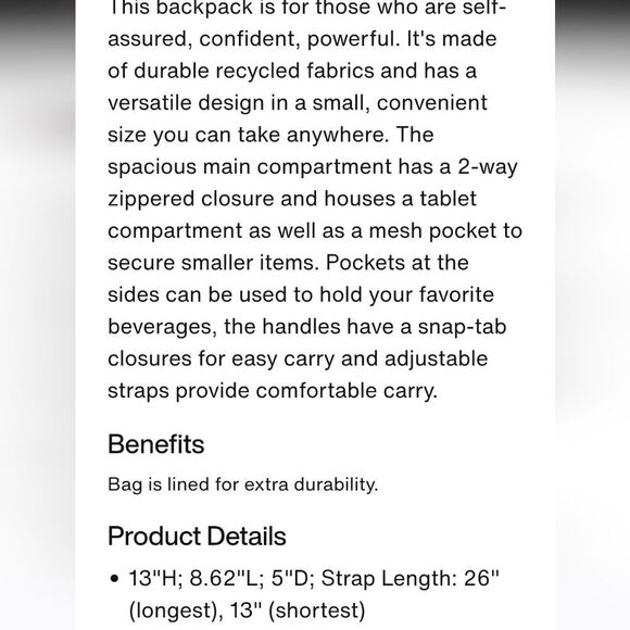 Jordan Alpha 9L Mini Backpack- Orchid main image 4